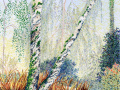 Sigrid Nora - Helvoirt 2025. Potlood, stift en pastel op papier, 21x29,7 cm.