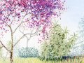 Sigrid Nora - Lente 2 2025. Potlood, stift en pastel op papier, 12,7x18,6 cm.