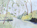 Sigrid Nora - Middelheim 2025. Potlood, stift en pastel op papier - 59,4x42cm